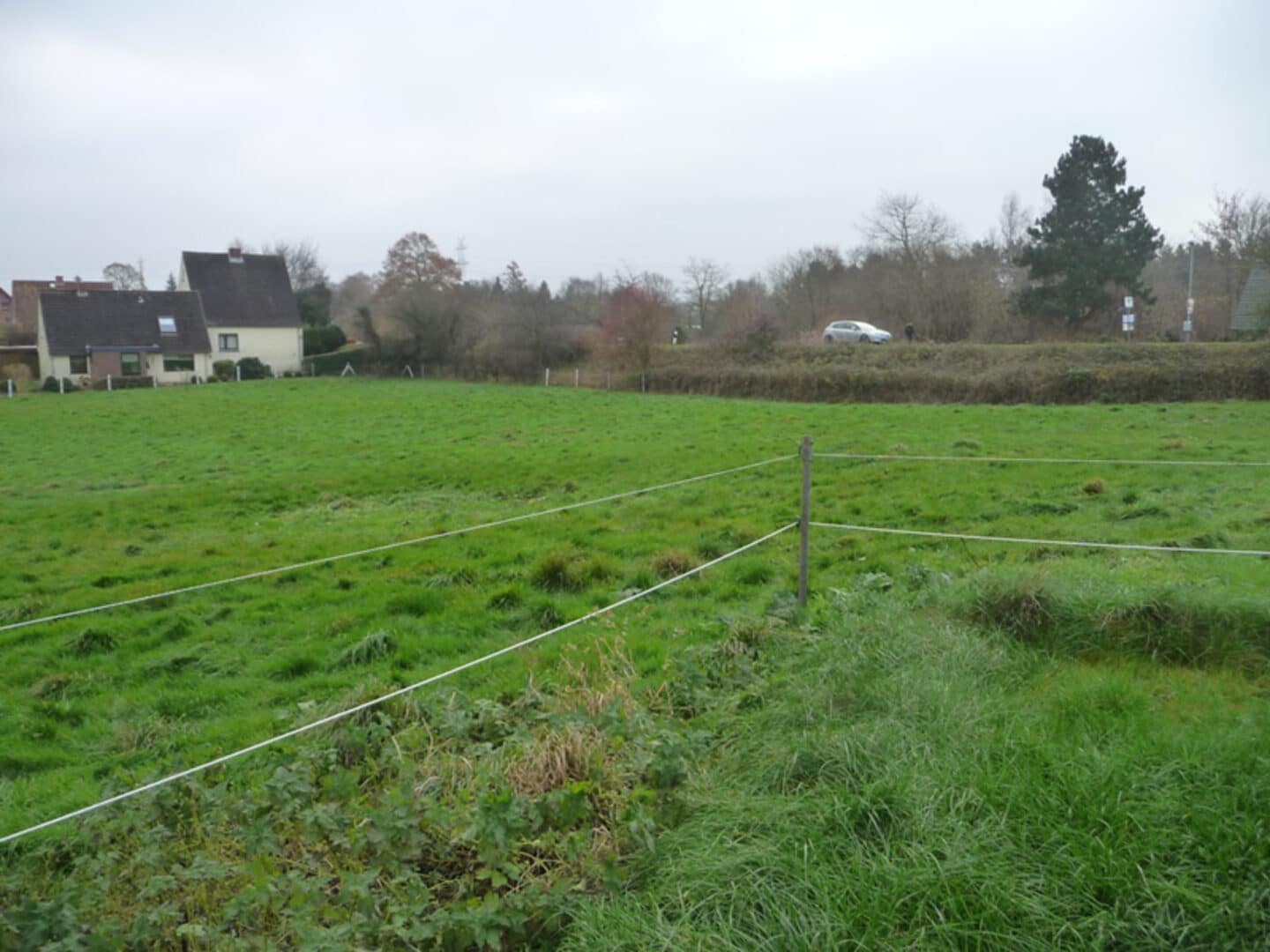 Gartenausblick 3