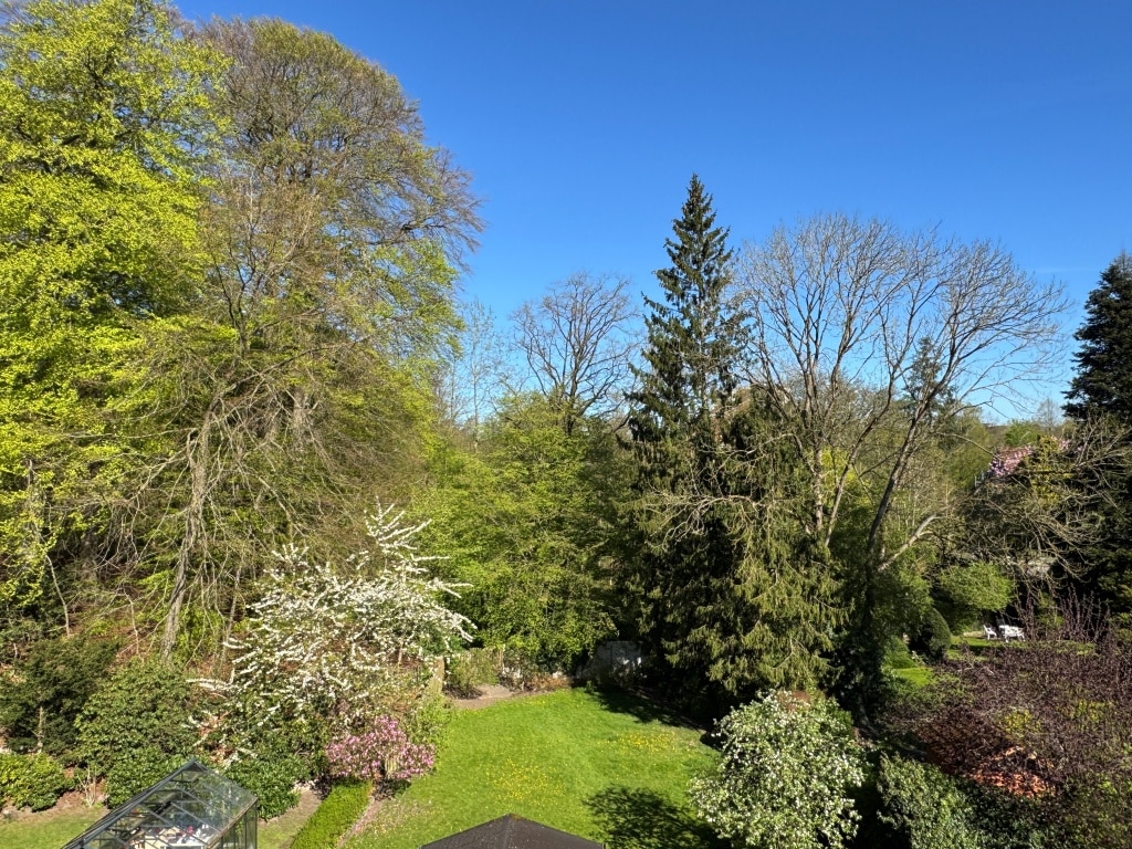 Blick über den Garten