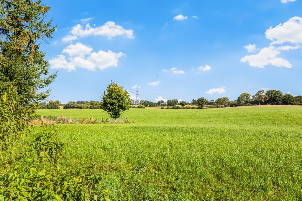 Ausblick über die Felder von Ottendorf