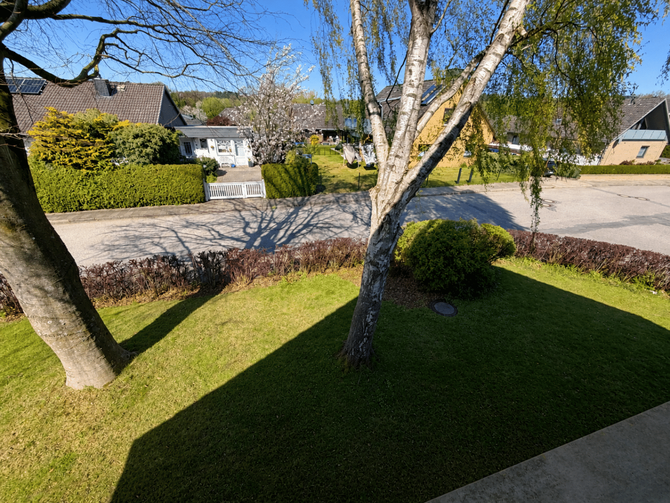 Ausblick ins Grüne